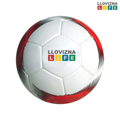 Soccer Match Balls